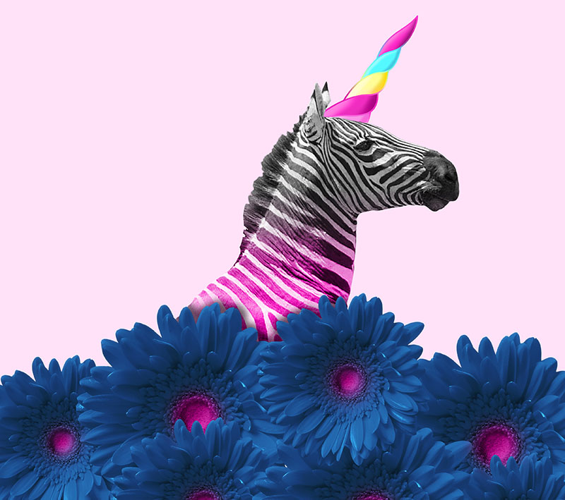 Be the unicorn.